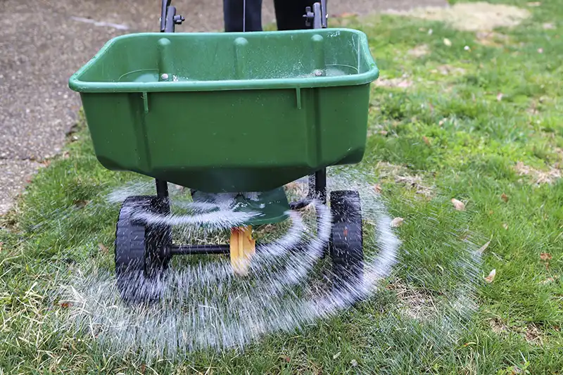 How Often Should You Fertilize Your Lawn Demystifying the Process in Sparks, NV