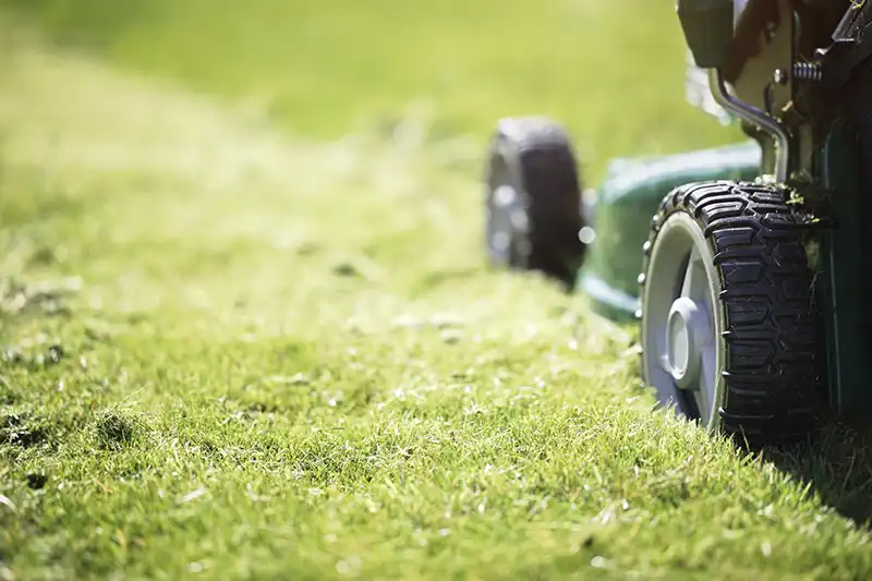 Landscaping Mowing for Sparks, NV