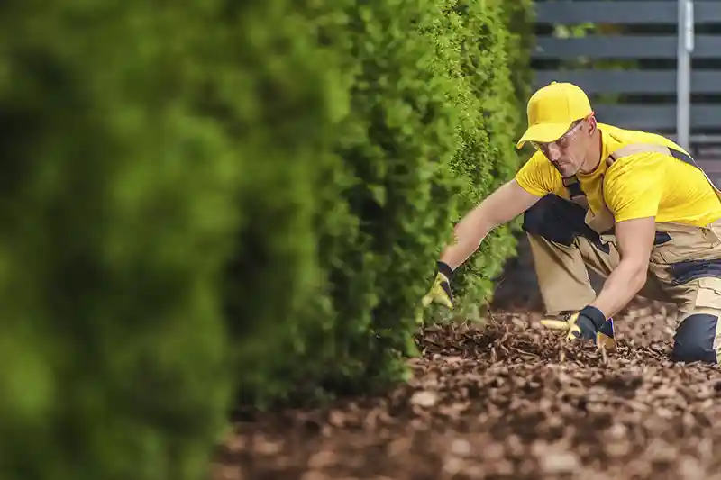 Mulching-Service