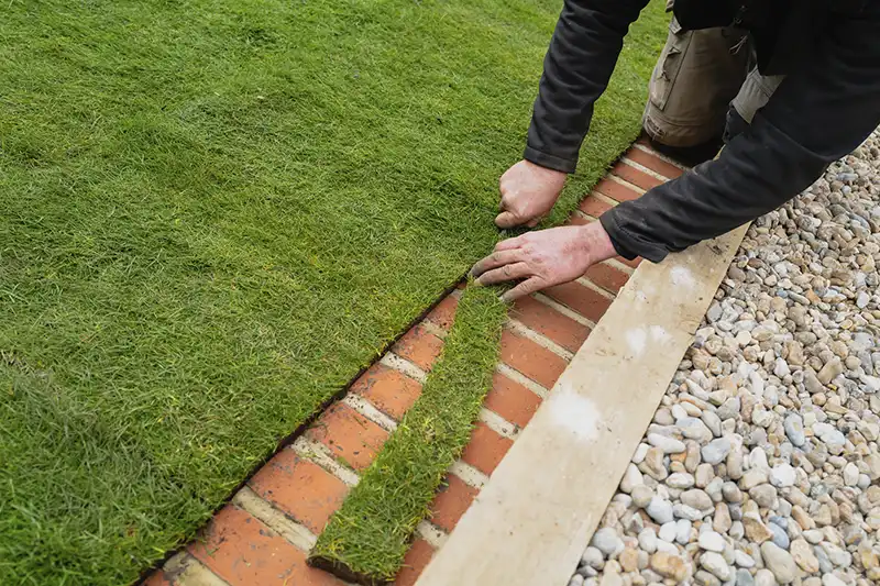 Sod Installation for Sparks, NV