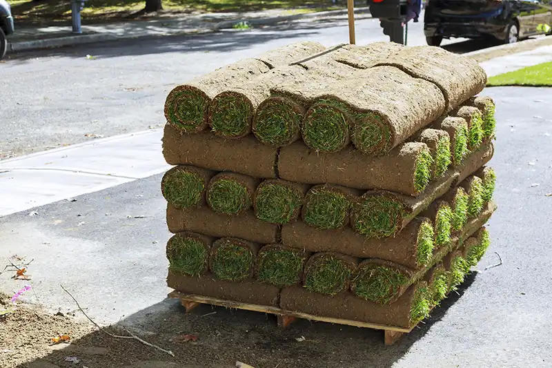 Sod Installation in Sparks, NV