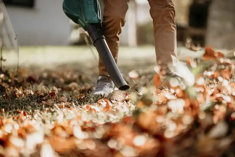 Yard Cleanup in Sparks, NV